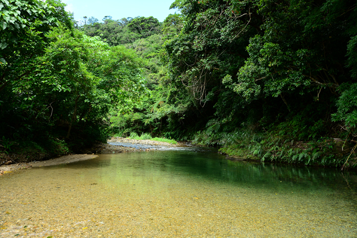 川遊び